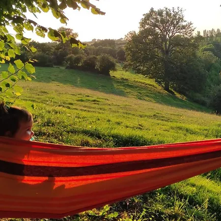 Campsite Mobil-home Avec Terrasse - 6 Pers. - Api-1-52-2015 Maulevrier