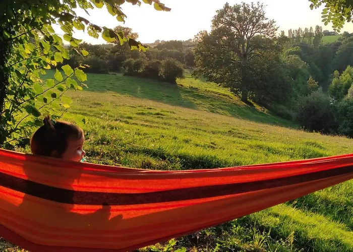 Campsite Mobil-home Avec Terrasse - 6 Pers. - Api-1-52-2015 Maulevrier