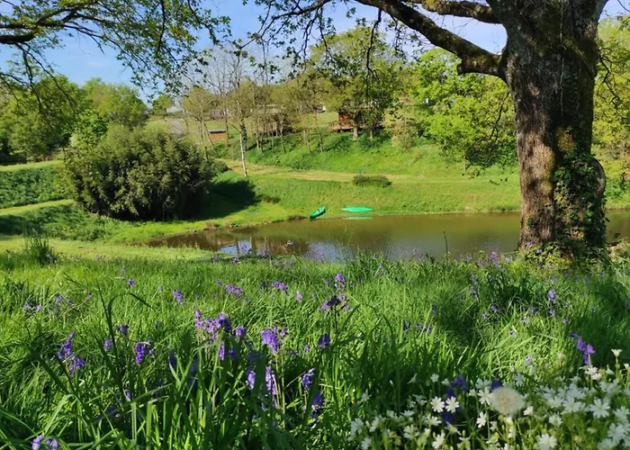 Campsite Mobil-home Avec Terrasse - 6 Pers. - Api-1-52-2015