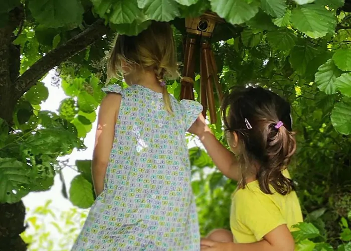 Mobil-home Avec Terrasse - 6 Pers. - Api-1-52-2015 Maulevrier